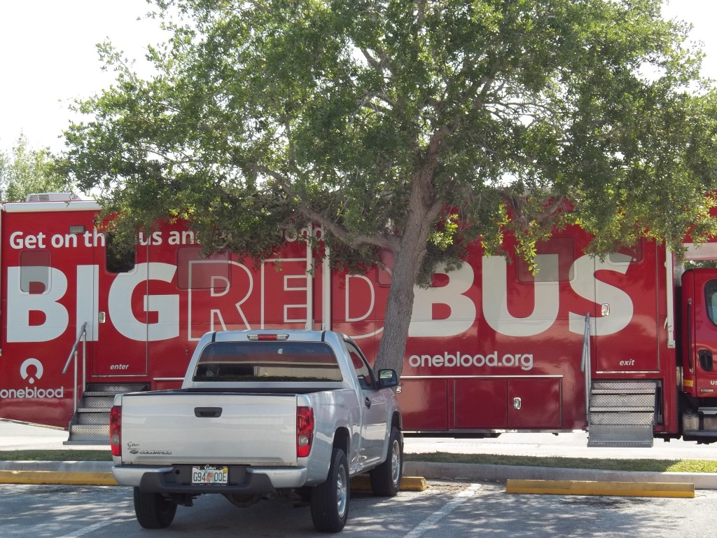 The Big Red Bus