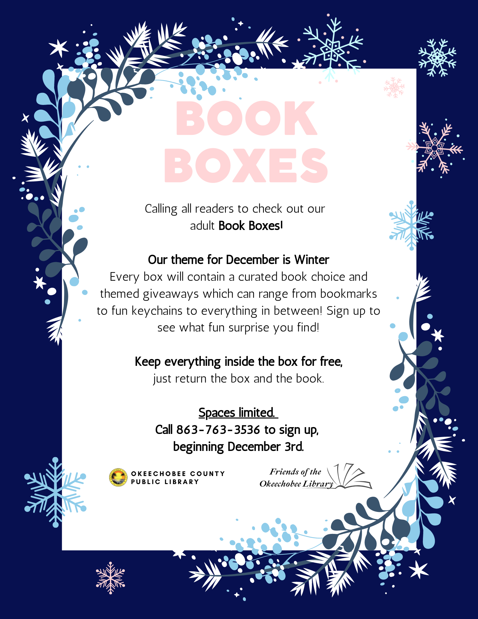 "December Book Boxes! Every box will contain a curated book choice and themed giveaways which can range from bookmarks to fun keychains to everything in between! Sign up to see what fun surprise you find!"